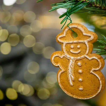 - - Mountain View Apartment *