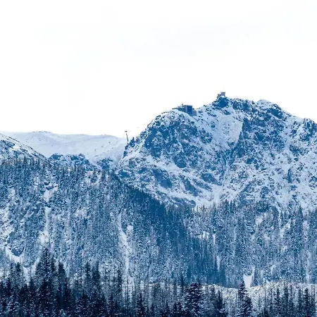 Apartment - - Mountain View Zakopane