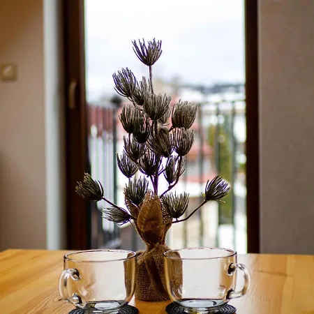 - - Mountain View * Zakopane